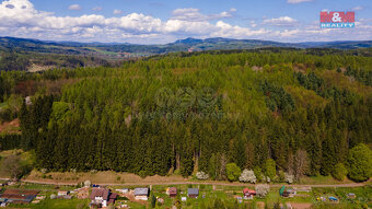 Prodej lesa, 3116 m², Trutnov, ul. Kacíř - 7