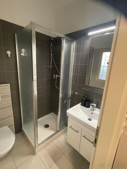 DLouhodobý pronájem bytu 2+kk (55 m2) - 7