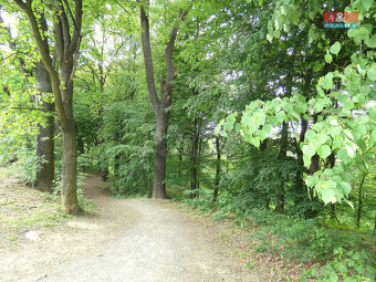 Prodej bytu 1+kk, 31 m², Ostrava, ul. Petruškova - 7