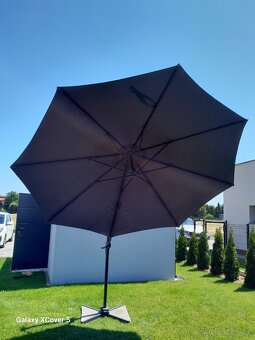 Slunecnik - 7