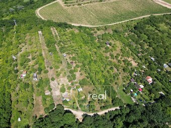 Prodej pozemku - zahrady, 1 698 m2 - Pouzdřany - 7
