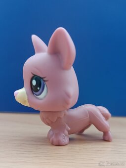 ☘️ LPS pejsek Corgi + růžová kočička + brýle ☘️ - 7