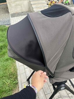 Koarek  3v1-  inglesina ptia , vajico - 7