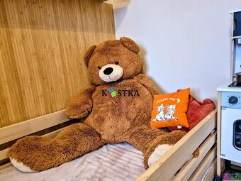 byt 3+1 Studénka, Sjednocení - 7