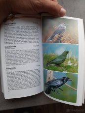 PRODÁM KNIHU KAPESNÍ PRŮVODCE PŘÍRODOU, ZVÍŘATA A ROSTLINY - 7