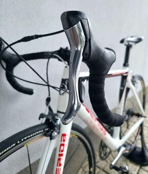 Silniční kolo Gepida Bandon 1100 Carbon – velikost 54cm (M) - 7