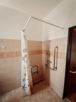 Pronájem bezbariérového bytu 1+kk 30 m² Ryžoviště, okres Bru - 7