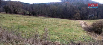 Prodej louky, 8010 m², Třebušín - 7