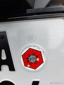 Kentoya maximus 125 - 7