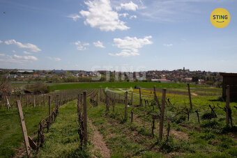 Pozemek pro rodinné vinařství s vinicemi na dvou par, 132041 - 7