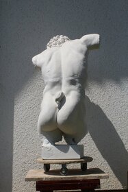 torzo - Faun - 7