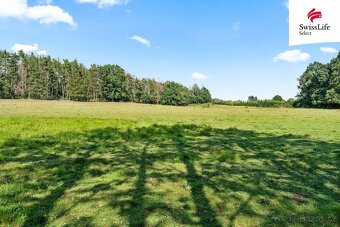 Prodej louky 294722 m2, Vrchotovy Janovice - 7