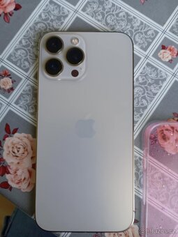iPhone 13 Pro Max - 7