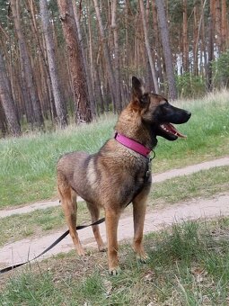 FREYA K ADOPCI - dokonalá parťačka - 7