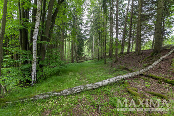 Prodej, pozemek, 14573m2, Višňová, Předlánce - 7