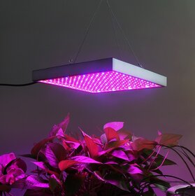 LED Grow Light Full Spectrum Red + Blue Plant Fytolamp . - 7