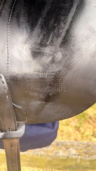 Euroriding Luxor - 7