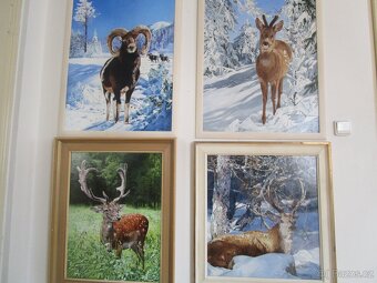 obrazy pro myslivce-bažant-tetřev-jelen-olejomalba - 7