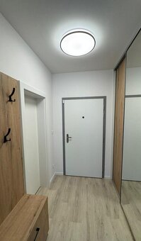 Pronájem bytu 1+1 v Praha, Ječná ulice - 7