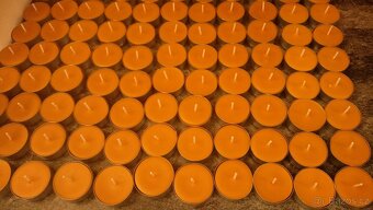 Medovicový lesní med - 7