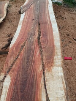 Fošny z červeného Jilmu - 7