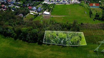 Prodej lesa, 5846 m², Vráž - 7