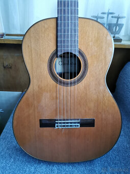 Klasická kytara Cordoba C7 CD - 7
