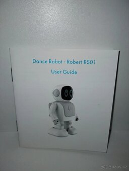 Program dancer Robert robot - 7