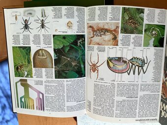 Joy of Knowledge naučné knihy v angličtině - 7