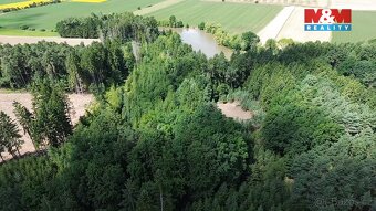 Prodej lesa, 5323 m², Opařany - 7