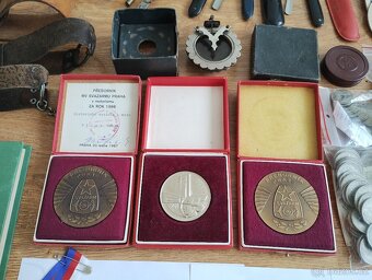 PRODÁM NÁLEZY Z PŮDY A STAROŽITNOSTI - 7