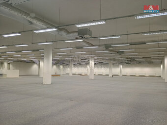 Pronájem obchod a služby, 2 013 m², Děčín, ul. Plzeňská - 7