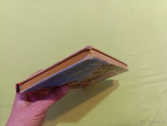 PIM A PAM - M.Voříšková - 7