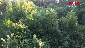 Prodej lesa, 5139 m², Tábor - 7