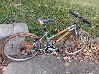 Dětské kolo 24" Leader Fox Buffalo - 7