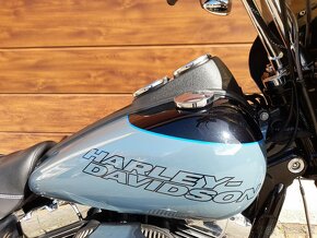 Harley-Davidson FXDL Dyna Low Rider 103 - 7