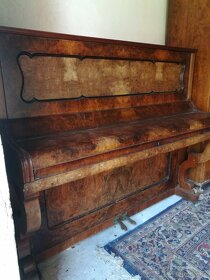 Korpus piana - 7