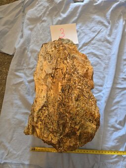 Zkamenělé dřevo do akvária - 7