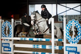 Nádherný pony valach - 7