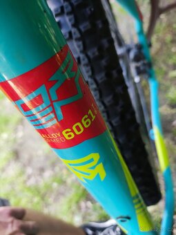 Rock Machine Torrent 29" - 7