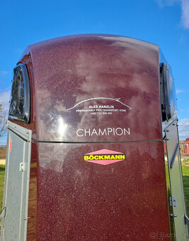 Prodám celohliníkový přívěs - přepravník na 2 koně Böckmann - 7