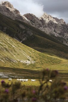 Canon zrcadlovka 2000d - 7