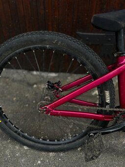 CTM DIRTKING - 7