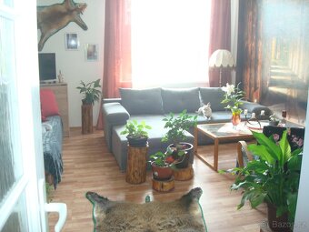 SLEVA  Byt s pozemkem za cenu bytu - 7