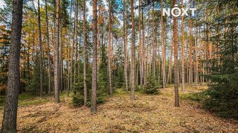 Prodej pozemek Lesy, 10398㎡ - 7