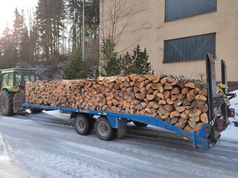 Palivové drěvo - 7