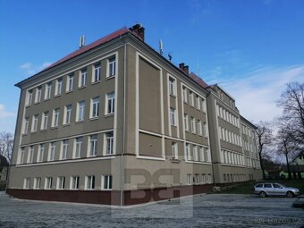 Pronájem bytu 1+kk 26 m², Ostrava - Přívoz, ev.č. N08587 - 7