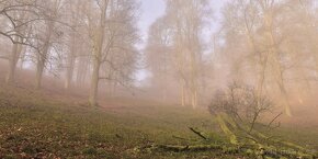 LÁNSKÁ OBORA V PROMĚNÁCH ČASU - 7