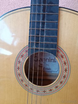 Kytara Giannini s obalem. - 7