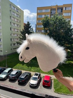 Hobby Horse - 7